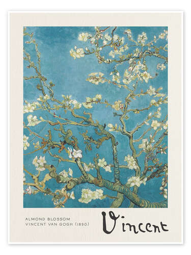 Almond Blossom Almond Blossom