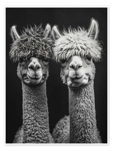 Alpaca Love Forever Alpaca Love Forever