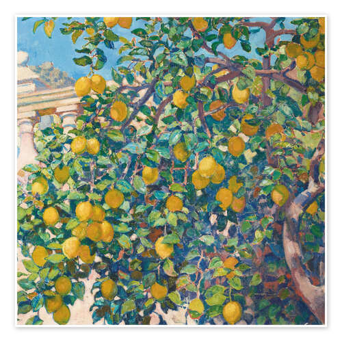 Lemon Trees in La Mortola, 1921