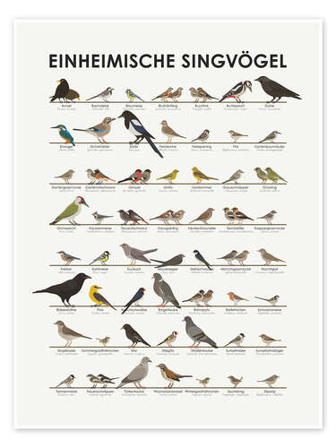 Native songbirds (German)