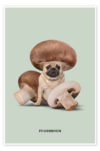 Pugshroom