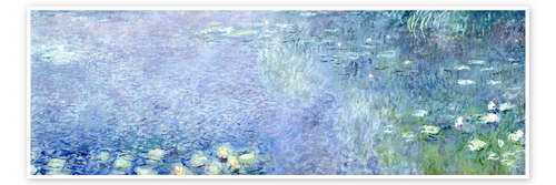 Waterlilies image 2